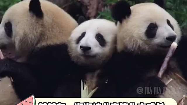 果赖：我已经不是从前的花花了！