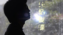 《失忆蝴蝶》唱的应该是得不到的人吧