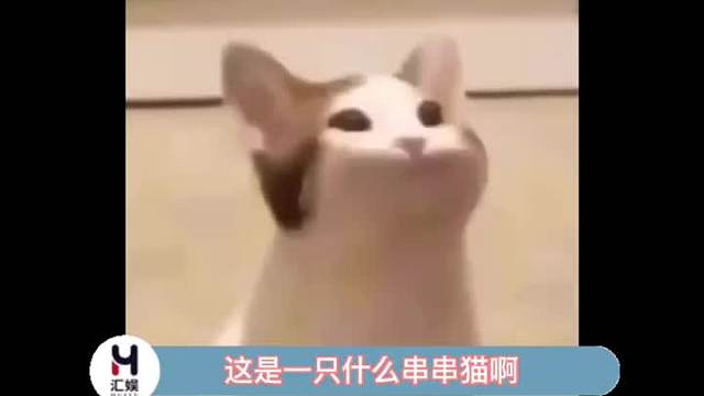 这只猫猫看起来咋有点吓人呢！