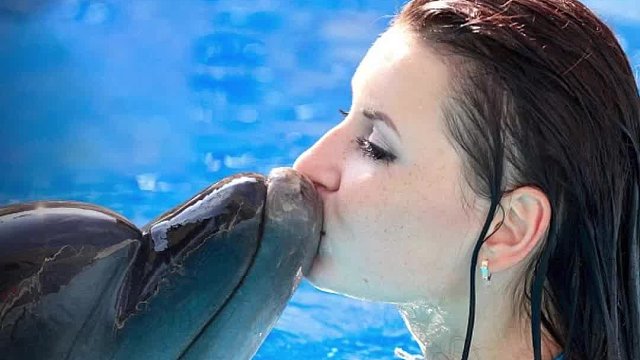 海豚爱上人类，最臭名昭著的实验之一，结局让无数人泪目