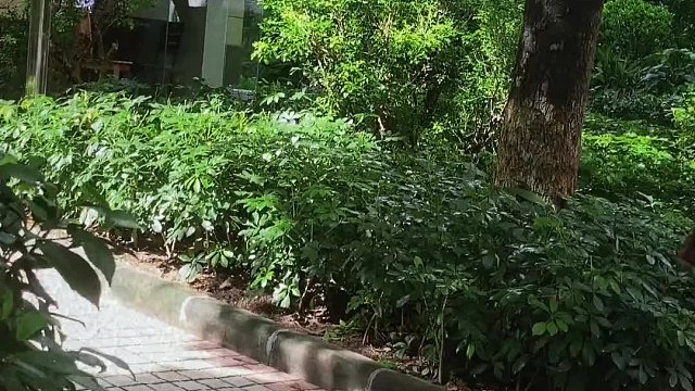 关于我重复买画这件事。。。