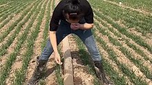 农村搞笑段子玩手机着迷的后果，我的鞋怎么不见了。
