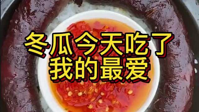 冬瓜今天吃了好吃的，应该不会晚上闹肚子饿了