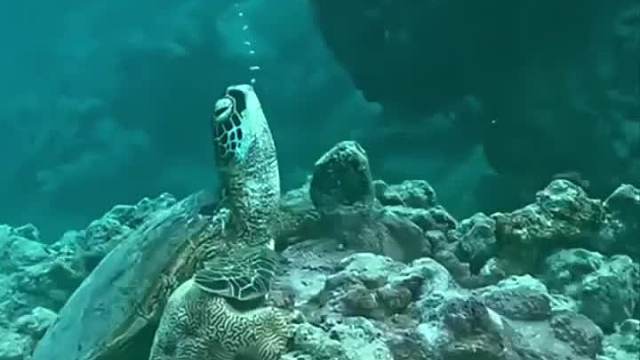 肺活量真猛，吐俩小时不停