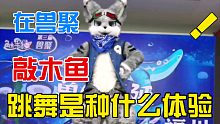 在触手猫兽聚敲【木鱼】跳舞？