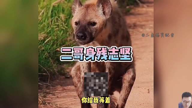 二哥身残志坚，佩服！恭喜二歪找到了失散多年的表弟！