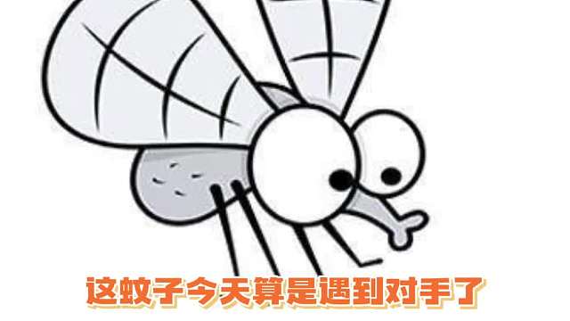 笑不活了，针都快捋断了就是扎不进去哈哈哈