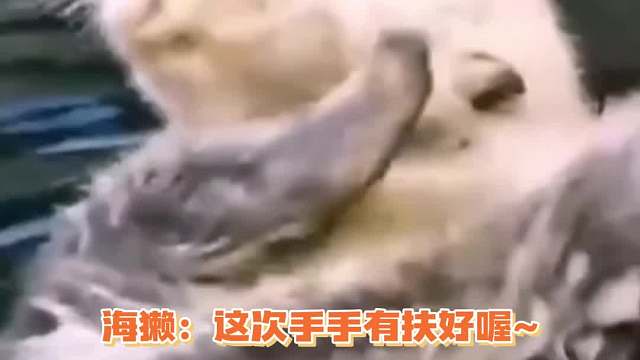 小手拍拍，这次可要拿好哦~~