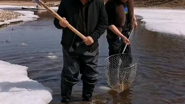 赶冰边捉上条大鲤鱼。
