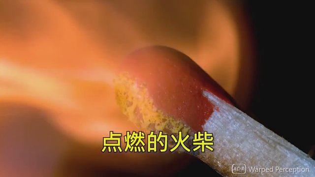 假如人类视角变成微观世界，有多震撼？（终）