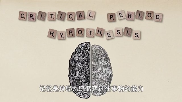 记忆金属是什么？为啥遇到热水后能立刻复原？详解合金的变态温度