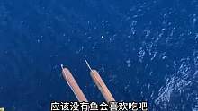 随便扔掉食物到远洋钻井平台下面会吸引来这么多的鱼