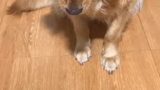 嘴里的鸭翅突然不香了