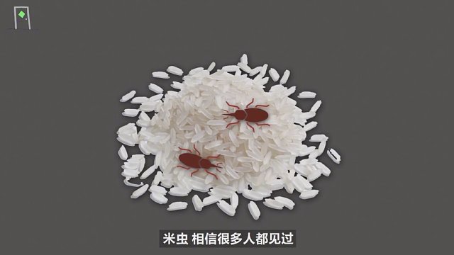 米里面为什么会生虫？生虫的米到底能不能吃？