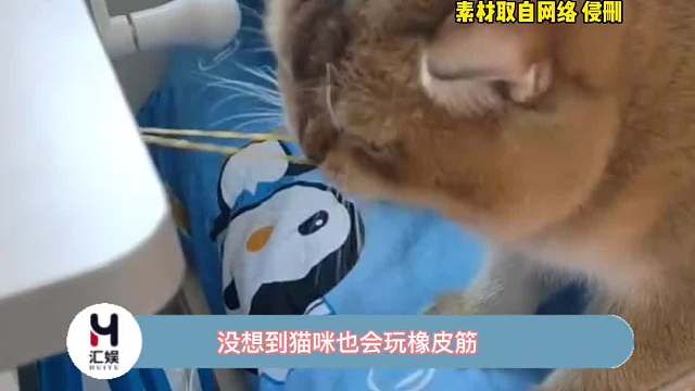 虽然但是，最后一秒真的好好笑哈哈哈！