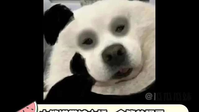 宝宝：真好，又活一天！