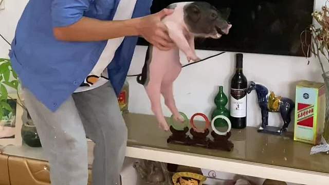 全网不超过三个人知道什么是苦口婆心吧