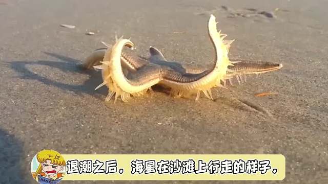 电影里怪物都是根据这些东西创作出来的吧