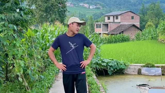 多年不回家，邻居在我家农田里养鱼，还说要吃鱼给他说一声？