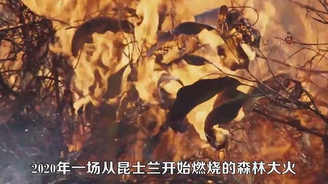 人工降雨是如何实现的？森林火灾能用人工降雨吗？涨知识了