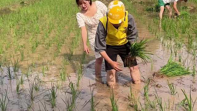老公在外打工，无奈家里插秧没人帮忙，点个外卖小哥来插秧！