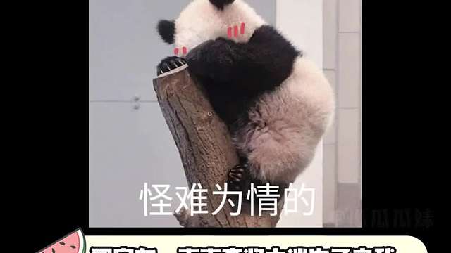 国宝：给大家上才艺！