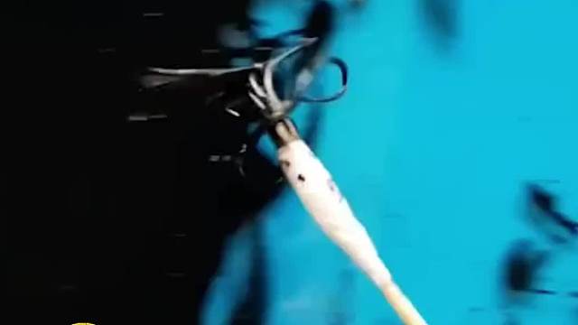 都是非常有灵感和灵气的创作~