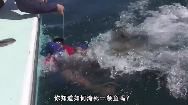 如何淹死一条鱼？被淹死之后的鱼还能吃吗？答案可能出乎你的意料