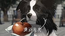 《重返未来：1999》皮克勒斯PV：毛茸茸哲学家 The Fluffy Philosopher