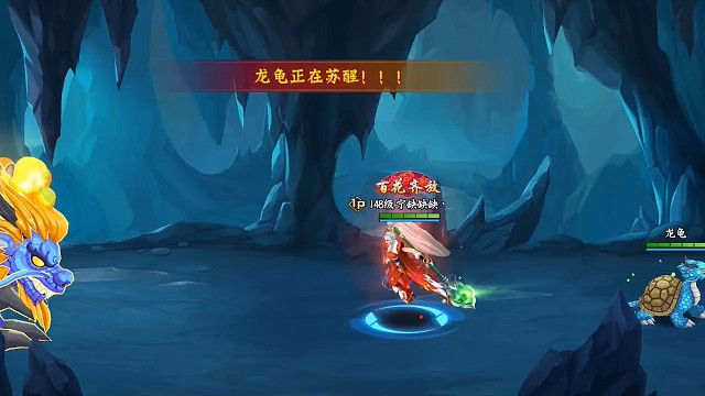 日常打龟……