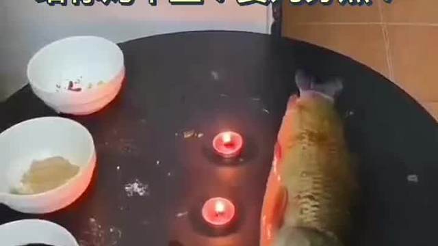 所以！第一个是什么菜？#搞笑配音#搞笑#搞笑视频