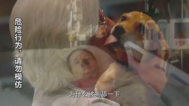 大爷被狗舔一口抢救16天身亡，为啥狗舌头如此致命？