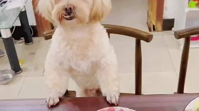 多少岁你们说了算