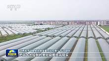 在新时代新征程上赢得更加伟大的胜利和荣光——习近平总书记近日