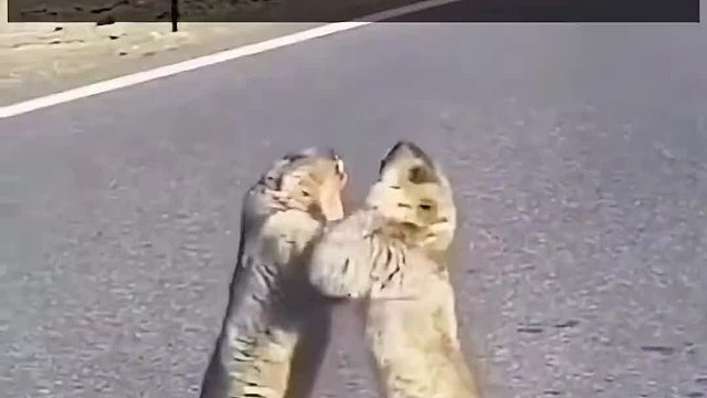 我要不要下去劝劝？#搞笑#搞笑配音#搞笑视频