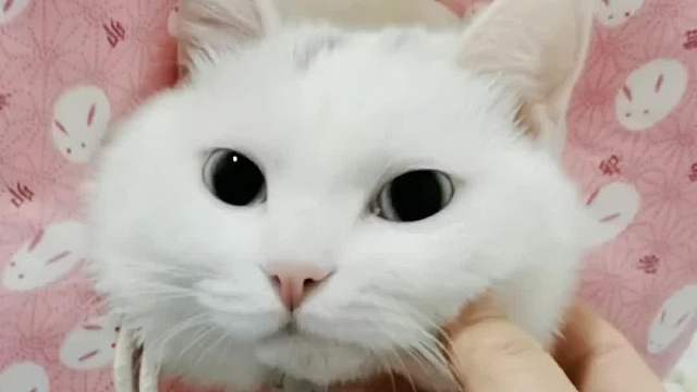 全程没有演戏，只希望我平稳的情绪能让他多一丝安全感。