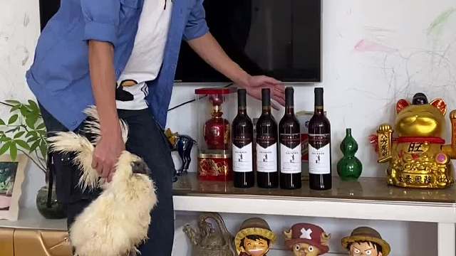  乌鸡这么可爱，怎么能吃白白的乌鸡呢？