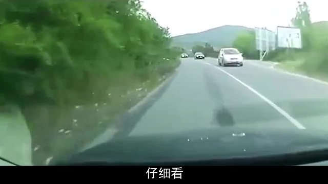 马路边突然窜出一道“白影”，司机来不及刹车，直接被撞飞5米远