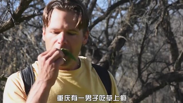 如果一个人不吃饭，改吃草会怎样？重庆男子亲身体验告诉你答案