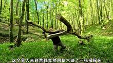 男人来到荒野用枯木做了一张吊床，还在上面搭了帐篷#野外生存 #野外建造 #荒野建造 #原始森林 
