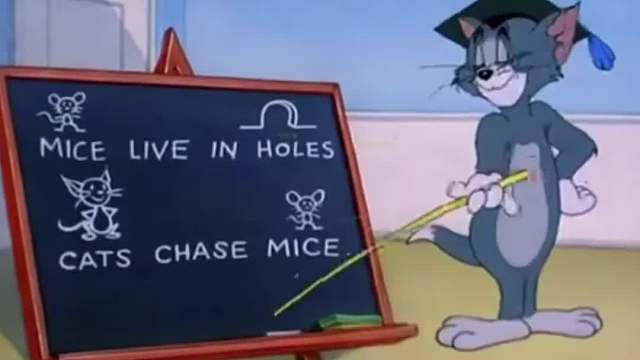 我真的很需要一个来贴在脸上！