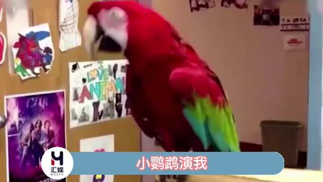 看篮子它好像真的是躺着走路的！