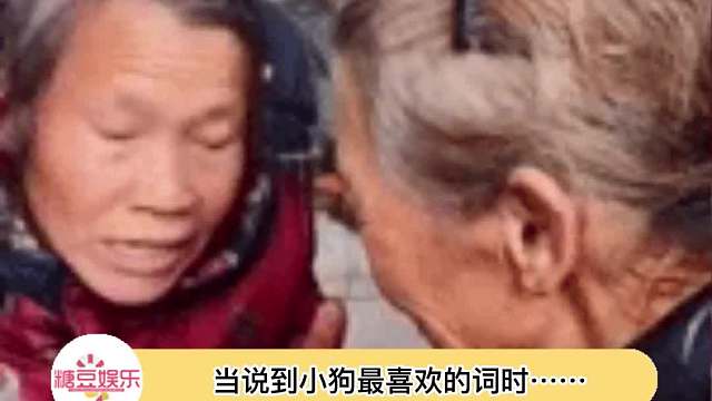 小狗耳朵只进不出听到的：兜风….零食….晚饭….鲑鱼….车…