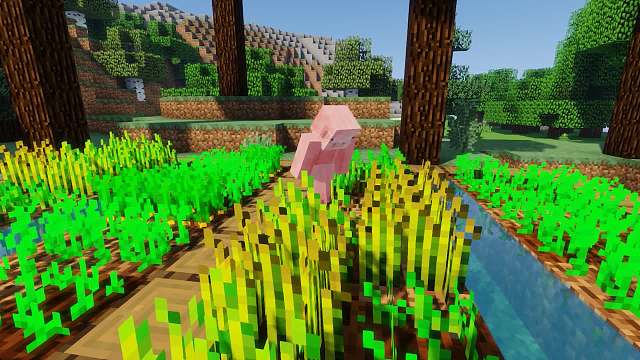 我的世界：大家身怀绝技，厨艺如此高超