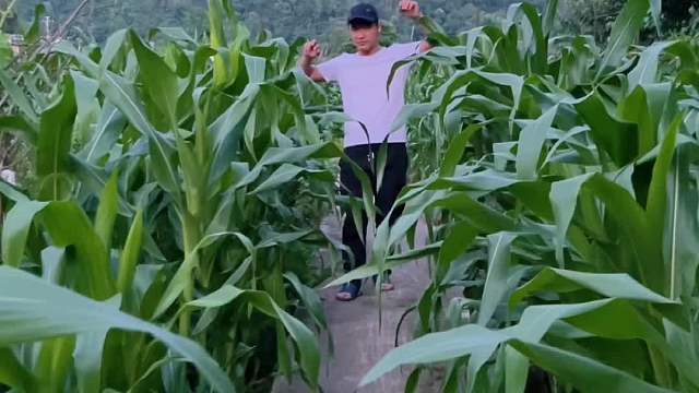 以前这季节还能过三轮车，现在连人走路都困难，这是谁的问题？