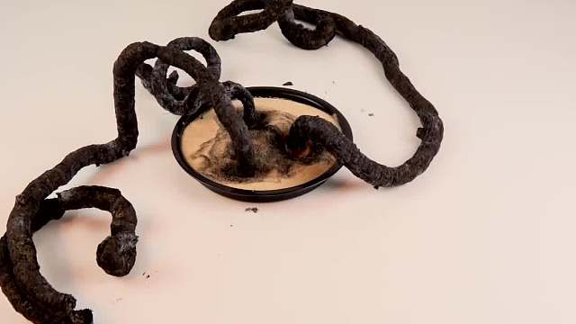 神奇的法老之蛇