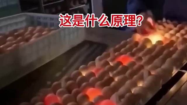 自动挑坏蛋，这是什么原理？
