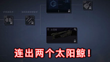 连出两个太阳鲸！三连复制欧气！！