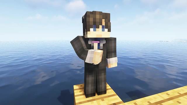 我的世界：him居然被一击必S,皮搋强者恐怖如斯！