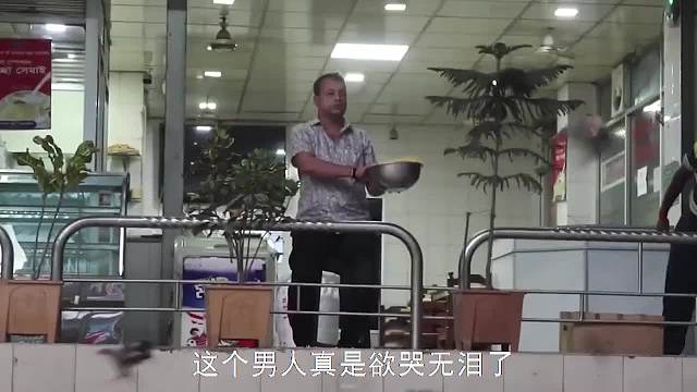 男子好心救下两只鹦鹉，第二天“看傻眼”：亲娘哎，这谁遭得住！